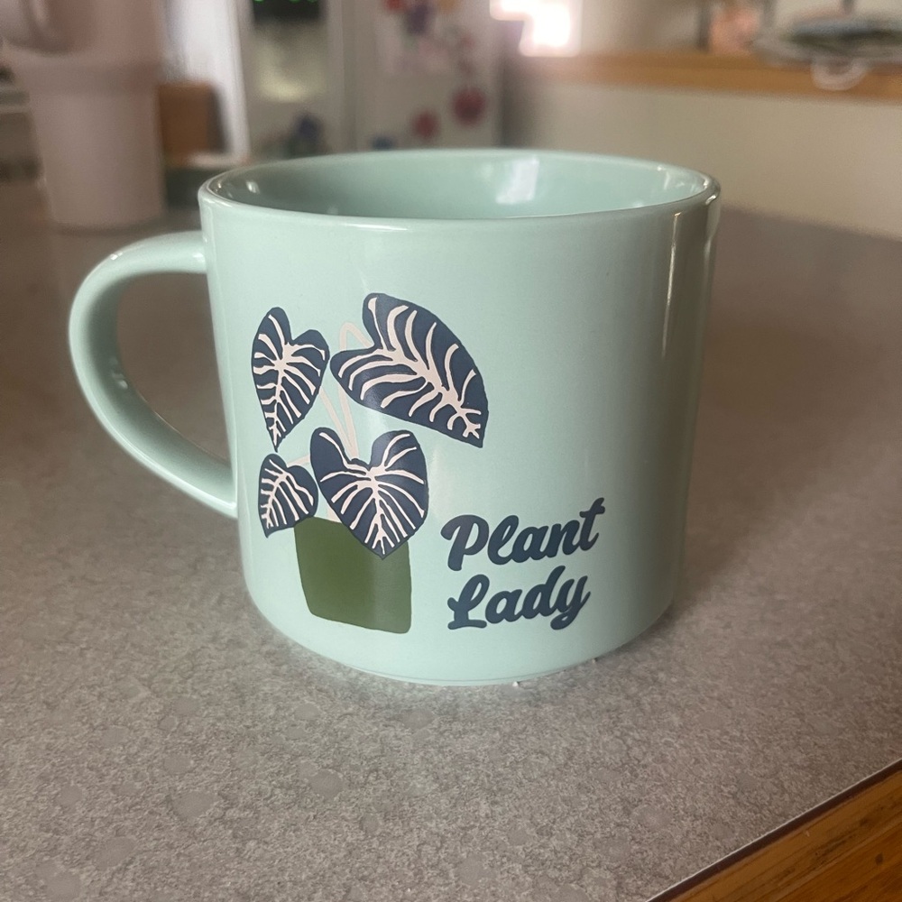 Room Essentials Mint Green 'Plant Lady' Mug
